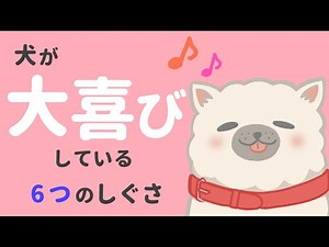 犬が大喜びしたときに見せる6つのしぐさ