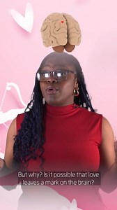 Does love leave a mark on your brain? 🧠❤️‍🔥 Neuroscientists @cuboulder sought to understand what goes on inside the brain when intimate relationships are formed and how we get over them breaking. The researchers studied prairie voles, an unusually monogamous mammal, using neuroimaging technology to measure, in real-time, what happens in the brain as a vole tries to reunite with its partner. The results indicate that loves leaves a chemical imprint on the brain as it produces more of the pleasu