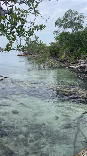 Descubre Isla Tintín: Un Paraíso de Playa