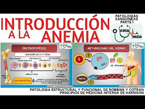 INTRODUCTION TO ANEMIA | GuiaMed