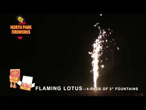FLAMING LOTUS 3” fountains 4pk by Diamond Fireworks | NORTH PARK FIREWORKS