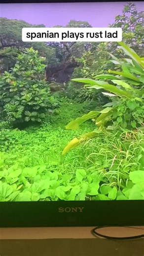 Exploring Hectic Swamp Bases in Rust Gameplay