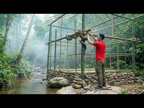 I Built Jungle Python Survival Shelter from Scratch | It Coils at Dusk