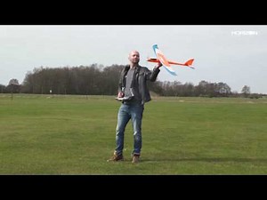 Staufenbiel Mini Hawk III