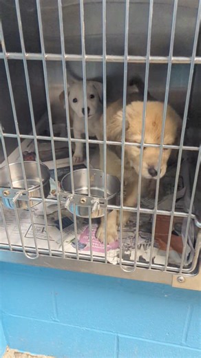 18K views · 129 reactions | We need your help today! Please come...