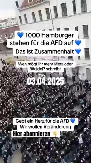 AFD Demo: Ein Einblick in Mara Potschkas Erstellung