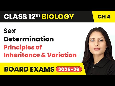 Sex Determination - Principles of Inheritance and Variation | Class 12 Biology Chapter 4 | CBSE