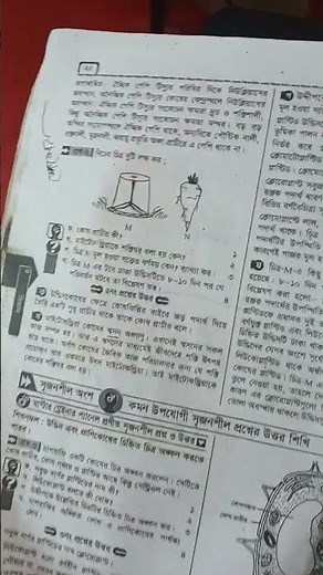 class 7 biggan chapter 2 || class 7 science chapter 2025