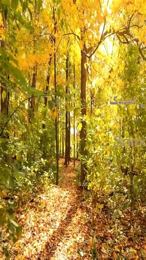 Julio Iglesias - Somos - Kurdish subtitle | Kurdish subtitle songs