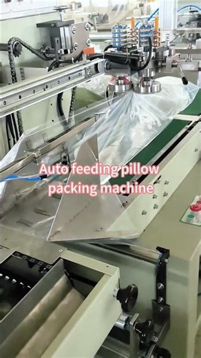 Automatic Feeding Flow Pack Machine | Pillow Packaging Solution