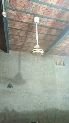 #funny #trend #ceilingfan #comedy