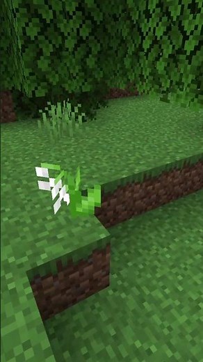 THE LILY OF THE VALLEY FACES ALL DIRECTIONS IN MINECRAFT #shorts #minecraft #flowers