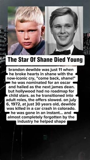 The Oscar Nominee No One Talks About: Brandon DeWilde. #story #celebrity #hollywood #news