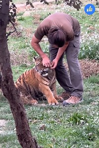 17K views · 915 reactions | Haha | Penélope Cruz Official | Facebook