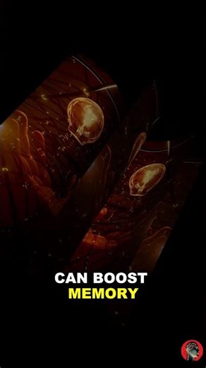 Unlock the Memory Palace trick!