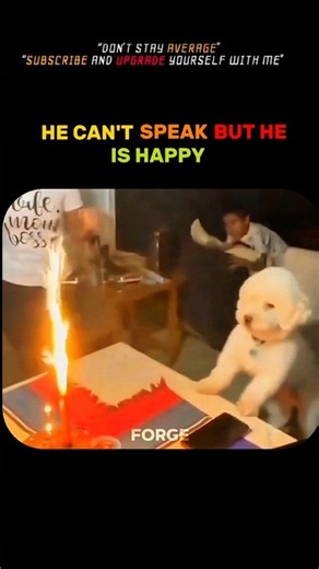 His happiness 🥀 #motivation #mindset #emotional #happiness