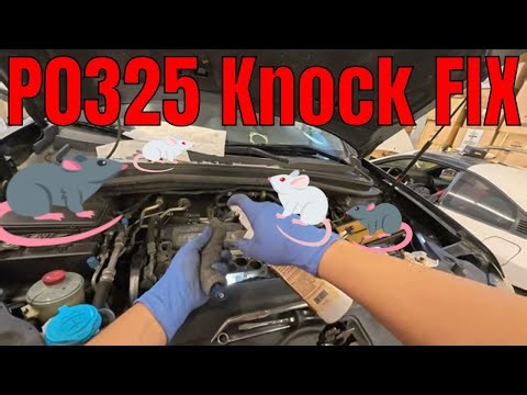 ASMR Step by Step Repair P0325 Knock Sensor Malfunction DIY Acura / Honda V6 - MDX Rodent Chew