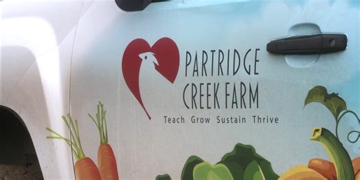Partridge Creek Farm opens application period for 2025 Farm to School Summer Camp