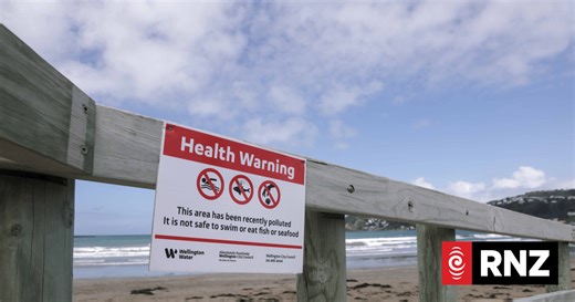 Wellington's Moa Point Wastewater Plant floods, shuts down, fix could take months