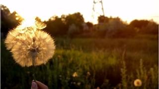 2.9K views · 177 reactions | What is 5 seconds worth to you? Watch this video and then comment below letting us know if you think Iowa should join 36 other states to have HANDS FREE LAWS? | Iowa State Patrol | Facebook