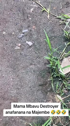 Mama Mbavu Destroyer: Majembe's Lookalike Unveiled