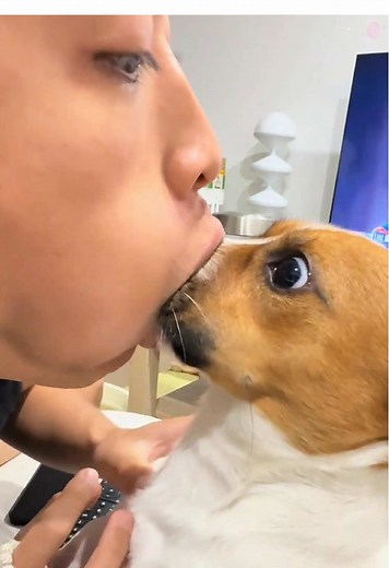 Funny Dog Reaction to Sudden Kiss