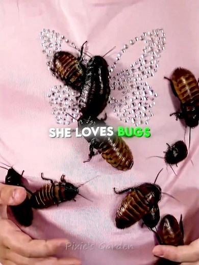 This Girl Lives with Thousands of Cockroaches 😱🏠