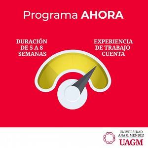 ¿Conoces el Programa AHORA? 🤔 Se trata de un programa acelerado para adultos en el que: ⏭ Completas cada curso en periodos de 5 a 8 semanas 👩🏽‍💼 Tu experiencia de trabajo cuenta 📆 Los cursos se reúnen solo una vez a la semana Déjanos tu datos en 👉 https://bit.ly/3NZ7oYT y te orientamos. #AlmaMáter #UAGM #ProgramaAhora | Universidad Ana G. Méndez