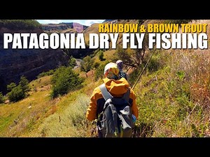 Patagonia Dry Fly Fishing - Rainbow & Brown Trout on Dry Flies in GIN-CLEAR WATER IN PATAGONIA!