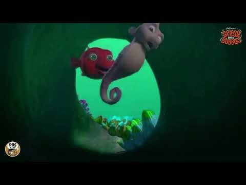 Splash and Bubbles Intro Luig Group