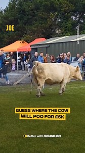 This has to be the most Irish bingo I've ever seen 😂 🐄 🇮🇪 Vid from Westport GAA #Westport #Mayo #Ireland #fblifestyle | JOE.ie