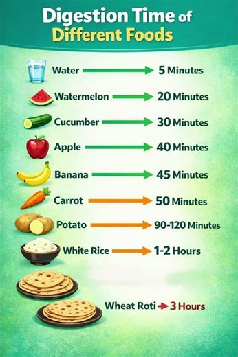 How Long Different Foods Stay in Stomach? Digestion Time| Comparison #healthtips #shorts #food
