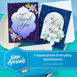 207 reactions | Master Calligrapher Paul Antonio is back with his amazing calligraphy designs! This collection is unique, as his actual handwritten Copperplate script was transformed into press plates. These plates press an elegant Copperplate script – perfect for a beautiful presentation for your stationery projects. Ink the plates with the BetterPress Ink to be pressed against the BetterPress Cotton Card Panel and Sheets for a crisp letterpress design. | Spellbinders Paper Arts | Facebook