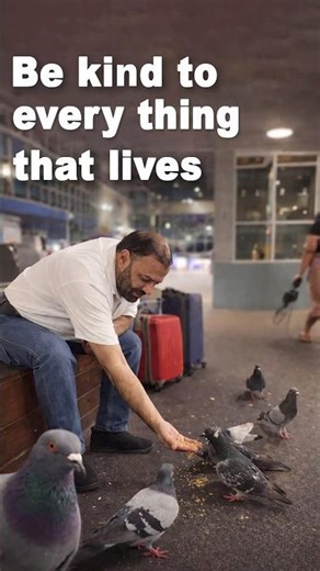 Be Kind to Every Living Thing , Washington DC , USA