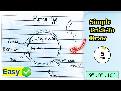 Make Human Eye Diagram In Only 5 Mins For All Classes 8th, 9th, 10th NCERT | Step By Step Easy Trick