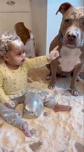 Toddler Blames the Dog After Making a Huge Flour Mess 😂🐶🌪️