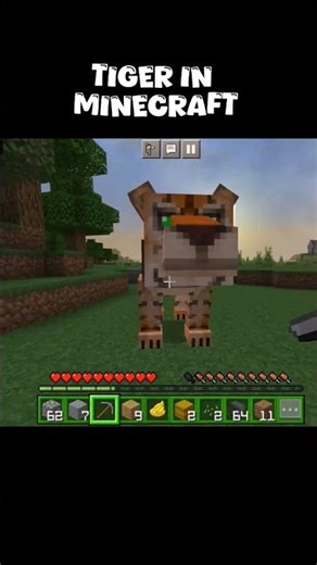 tiger in #minecraft 🤫