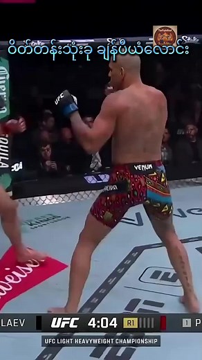 Alex Pereira: UFC Champion Fight Highlights