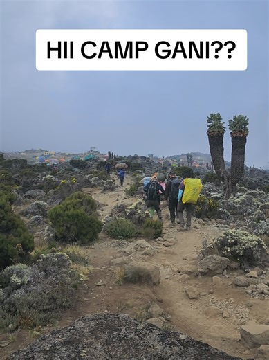 Climbing Mount Kilimanjaro Expedition Guide