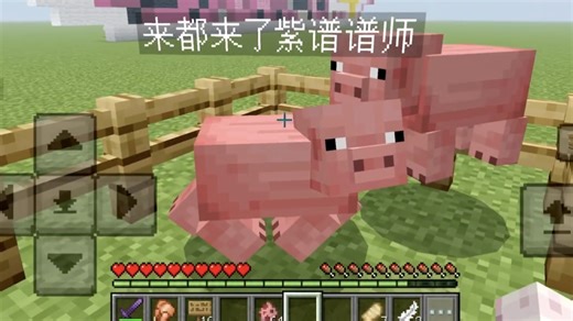 答辩 主人难度MASTER30 AP向糊法参考