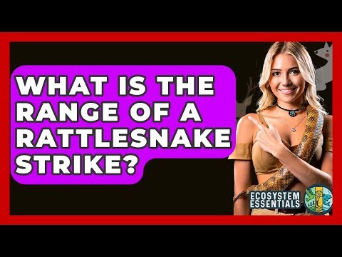 What Is The Range Of A Rattlesnake Strike? - Ecosystem Essentials