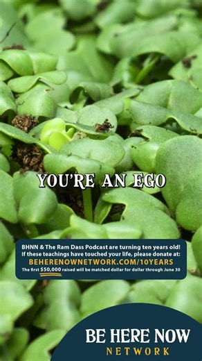 Striving for Attainment #alanwatts #striving #ego #knowledge #philosophy #shorts #podcast #games