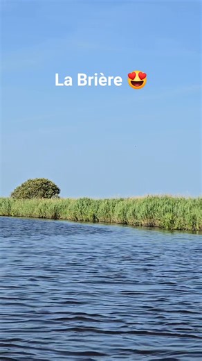 🚣‍♂️ Envie de glisser sur l’eau… juste à la magie des marais ? 🌿✨ À bord d’un chaland, cette barque à fond plat typique de la Brière, vous découvrez un autre monde : calme, sauvage, mystérieux… et totalement dépaysant. Ici, c’est la nature qui mène la danse ! 🐦 Une balade hors du temps, parfaite pour déconnecter et voir la Brière comme peu la connaissent ! 👉 Vous avez déjà testé ? Dites-nous avec qui vous rêveriez de voguer sur ces eaux tranquilles 💬 📍 Et si ce n’est pas encore le cas : c