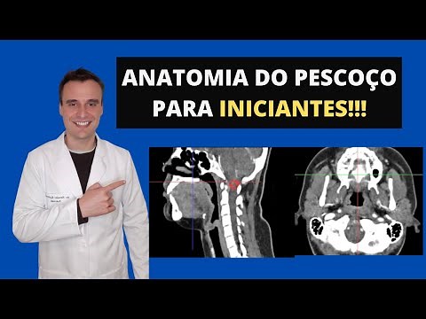 Neck anatomy on CT scans for beginners! Medical students, residents, and medical interns!