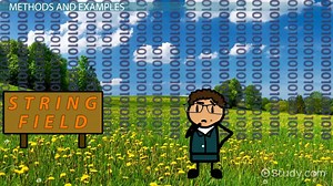 Wrapper Classes in Java: Definition & Example - Video | Study.com