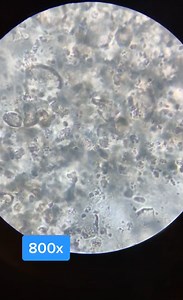 Next-Level Close-Ups That Will Blow Your Mind