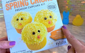 【cookie】极限操作so good复活节蓬松小鸡甜点蛋糕~【搬运 1080p】