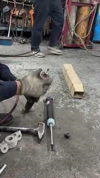 changing rear shock absorber for oil leakage ford edge #mechanic #auto #car #tips #automotive