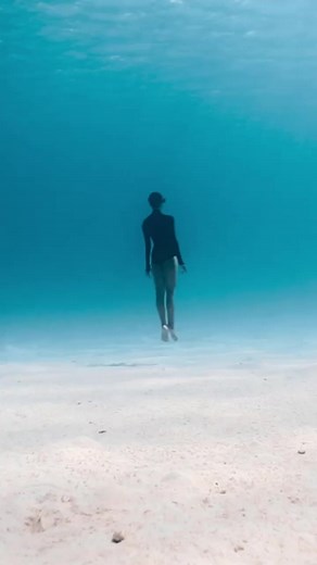 Take a deep breath and let yourself be transported into "Aquaballet," a mesmerising performance by Marianne Aventurier. This self-professed aquatic dancer merged her passions for the ocean, animals and dance to create this breathtaking display of underwater artistry. Filmed in French Polynesia, alongside her life partner, photographer Alex Voyer, this film is a poetic tribute to marine life and a realisation of Aventurier's dream to create a ballet with these magnificent creatures. Adding anothe