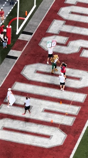 129K views · 1.5K reactions | 15 years later, the rematch of Rufus vs Brutus. I kept rolling in case Rufus went off script | Kellyanne Stitts | Facebook